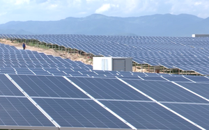 EVN ngừng mua 172MW điện mặt trời: Bộ Công Thương nói gì?