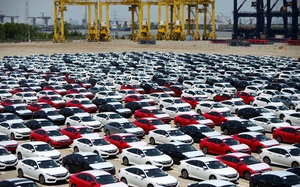 Bất chấp tháng ngâu, nhập khẩu ô tô nguyên chiếc tăng vọt