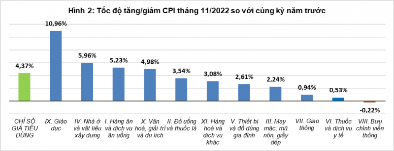 Chỉ số giá tiêu dùng tháng 11, một số nguyên nhân làm tăng, giảm CPI 11 tháng năm 2022 - Ảnh 4.