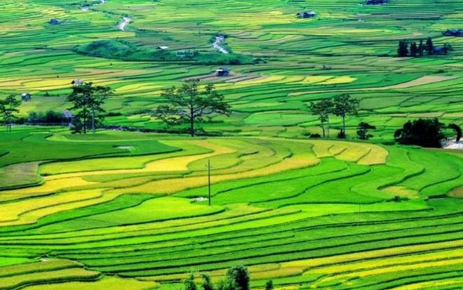 TOÀN VĂN DỰ THẢO LUẬT ĐẤT ĐAI (SỬA ĐỔI) - LẤY Ý KIẾN LẦN 2