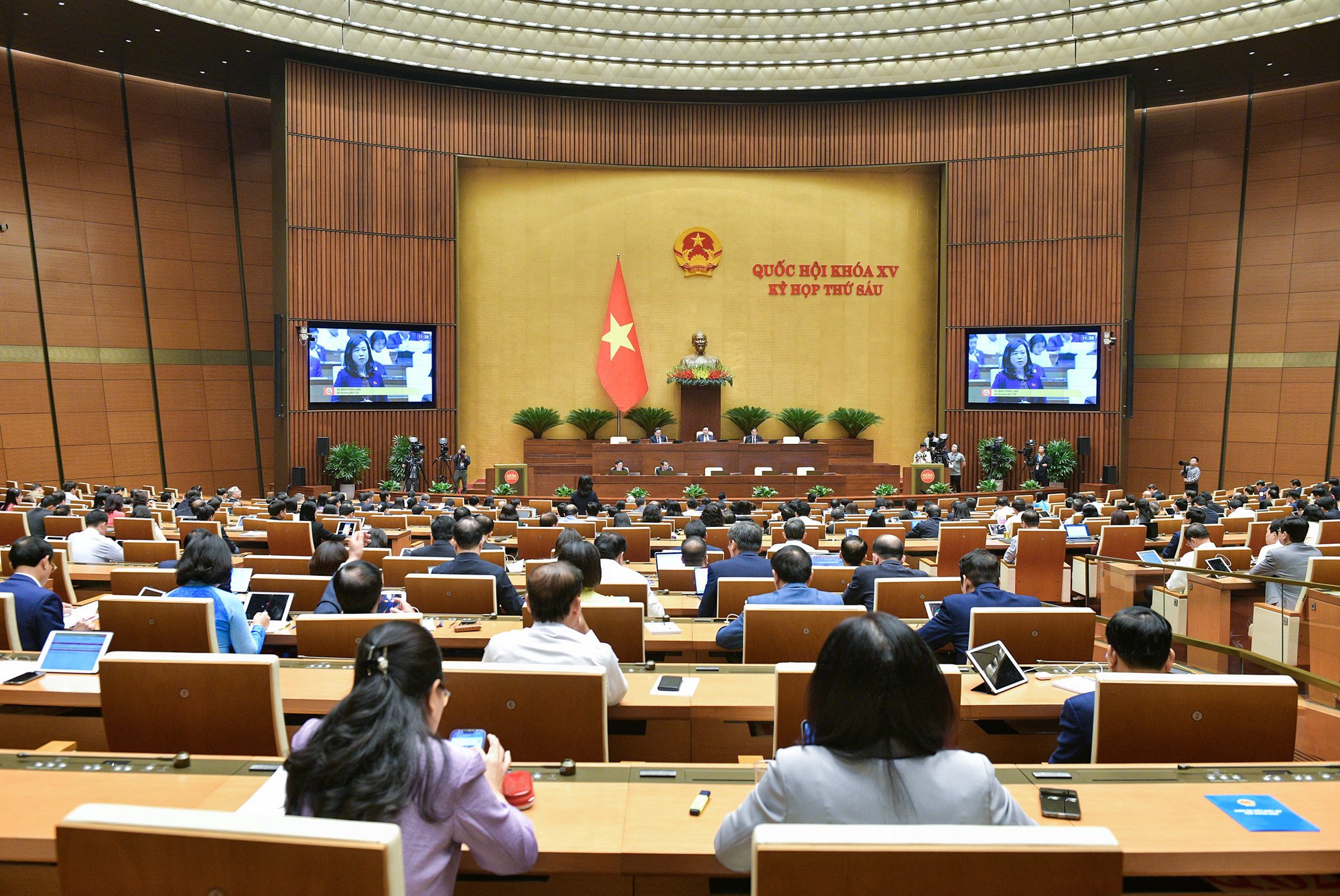 daohonglan1-1700538656721748525199.jpg