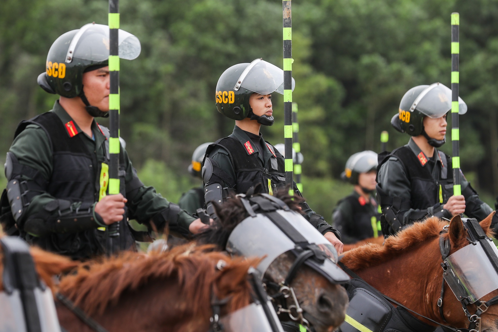 Chiêm ngưỡng những chiến mã của Trung đoàn Cảnh sát Cơ động Kỵ binh Công an nhân dân - Ảnh 10.