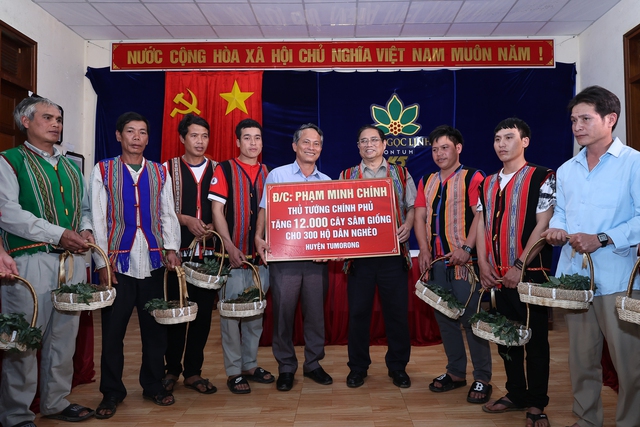 Thủ tướng tặng 12.000 cây giống sâm Ngọc Linh cho các hộ nghèo  - Ảnh 1.