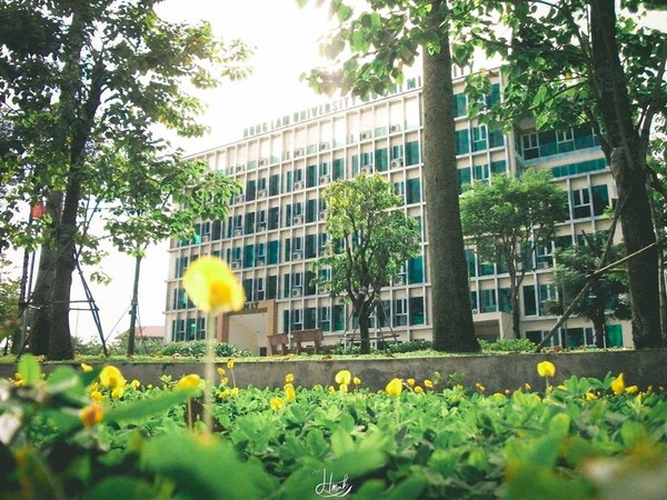 Điểm chuẩn Trường Đại học Nông Lâm TPHCM năm 2023 - Ảnh 1.