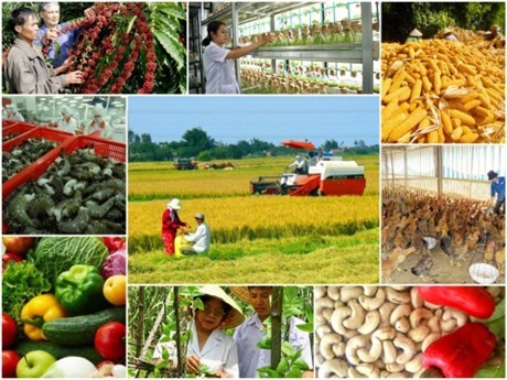 Đề xuất tiêu chuẩn thành viên Hội đồng quản lý đơn vị sự nghiệp công lập lĩnh vực Nông nghiệp và Phát triển nông thôn - Ảnh 1.