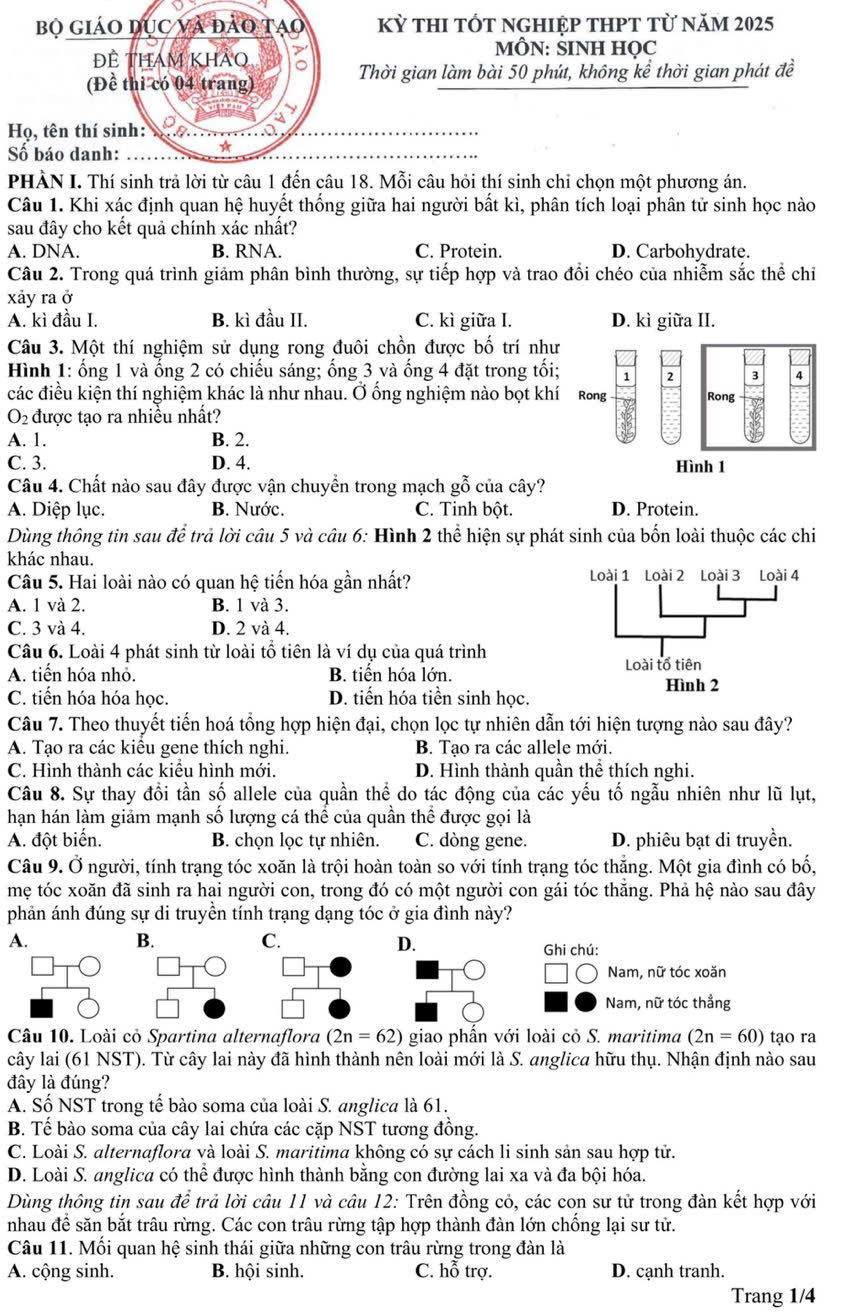 Đề tham khảo thi tốt nghiệp THPT môn Sinh học từ năm 2025- Ảnh 1.