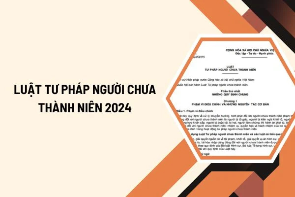 10 NỘI DUNG NỔI BẬT CỦA LUẬT TƯ PHÁP NGƯỜI CHƯA THÀNH NIÊN- Ảnh 3.