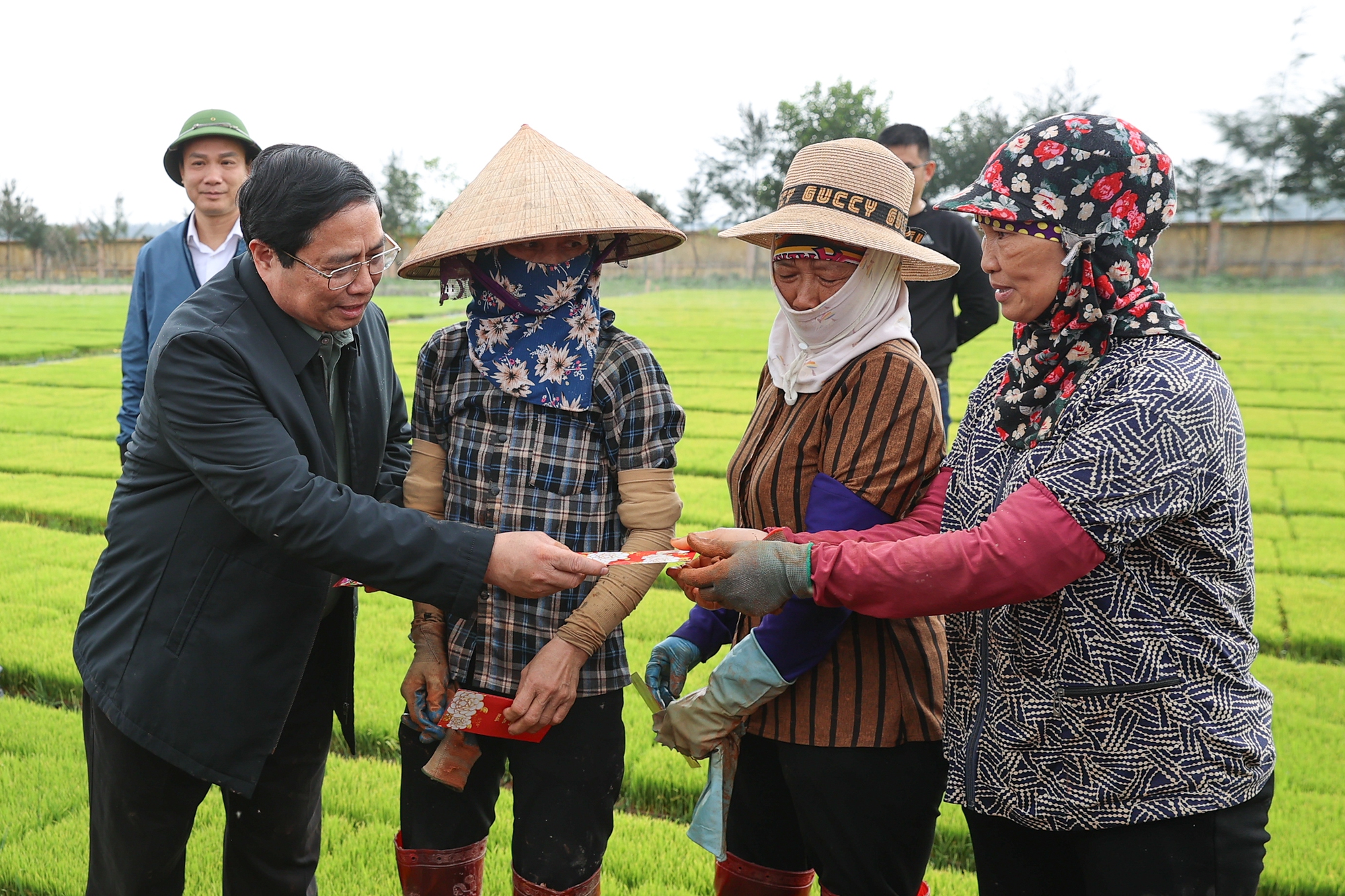 Thủ tướng Phạm Minh Chính xuống đồng cấy lúa, thu hoạch cà rốt cùng nông dân- Ảnh 8.