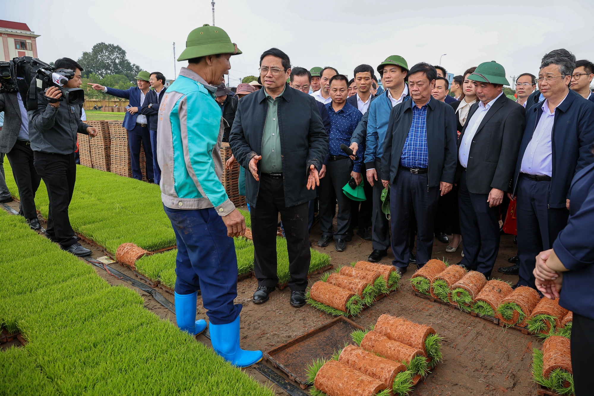Thủ tướng Phạm Minh Chính cấy lúa, thu hoạch cà rốt cùng nông dân- Ảnh 3.
