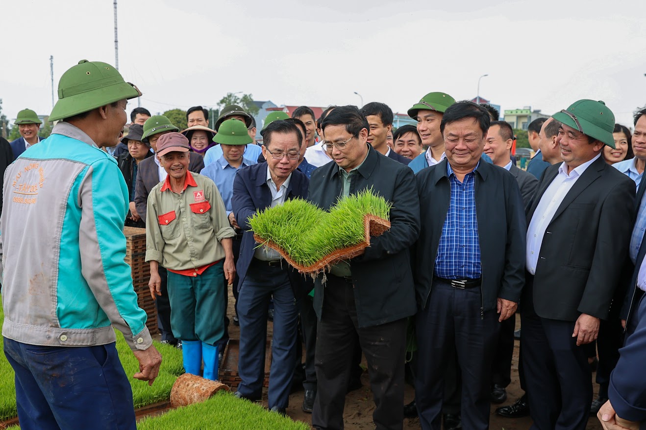 Thủ tướng Phạm Minh Chính cấy lúa, thu hoạch cà rốt cùng nông dân- Ảnh 2.