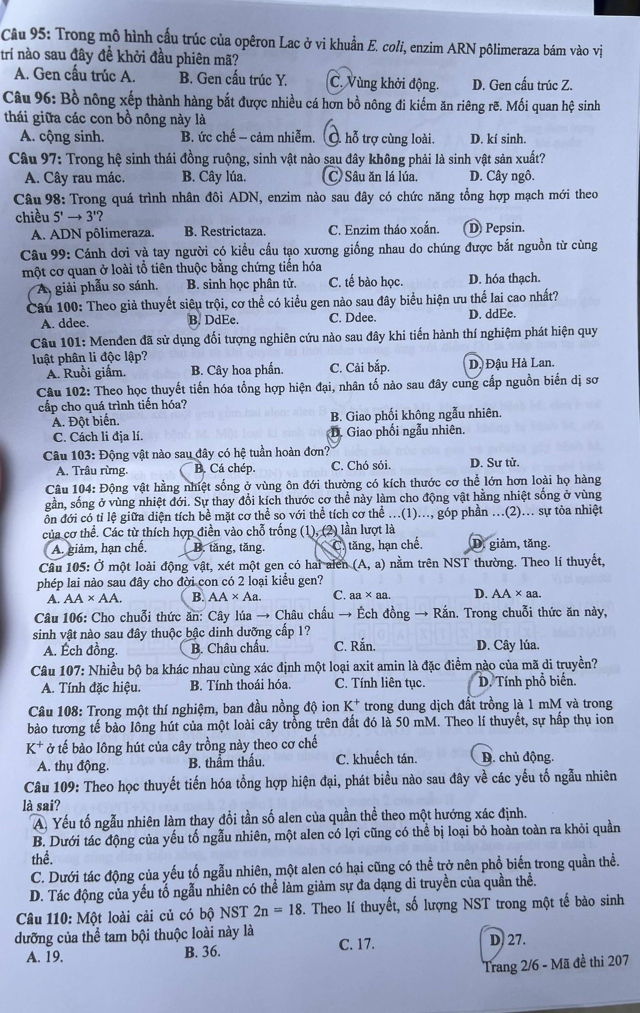 Vật nào sau đây gọi là vật không sống? Giải đáp chi tiết và đầy đủ