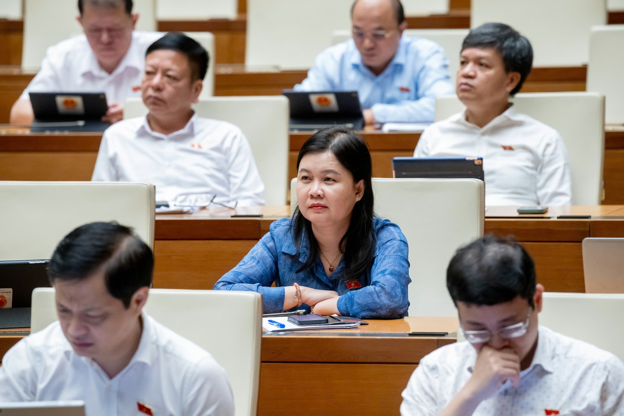 Phó Thủ tướng Lê Thành Long làm rõ một số vấn đề thuộc trách nhiệm của Chính phủ- Ảnh 2.