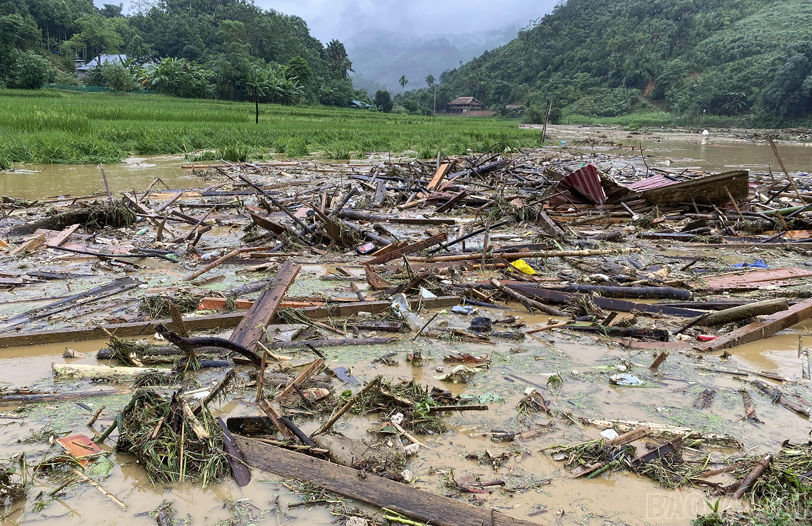 Lũ quét vùi lấp 35 ngôi nhà của thôn Nàng Lú: Lập sở chỉ huy tiền phương tìm kiếm, cứu nạn- Ảnh 5.