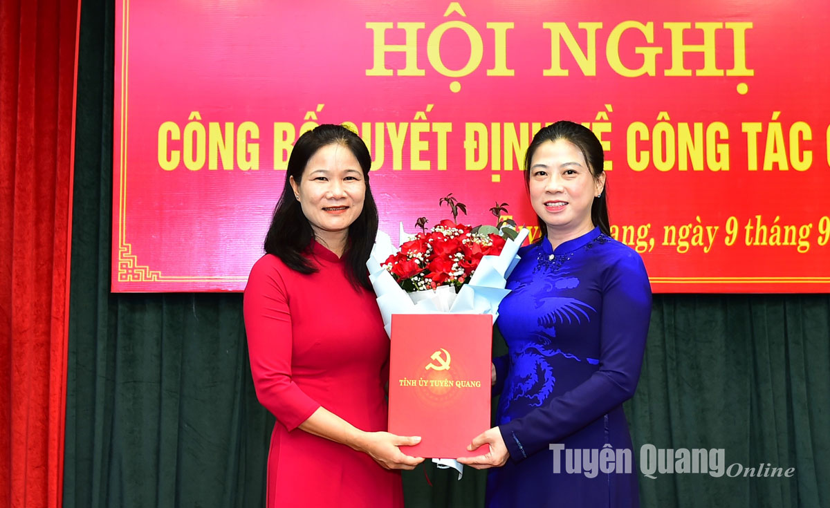 Bổ nhiệm nữ Trưởng phòng Tổng hợp giữ chức Phó Trưởng Ban Dân vận Tỉnh ủy- Ảnh 1.