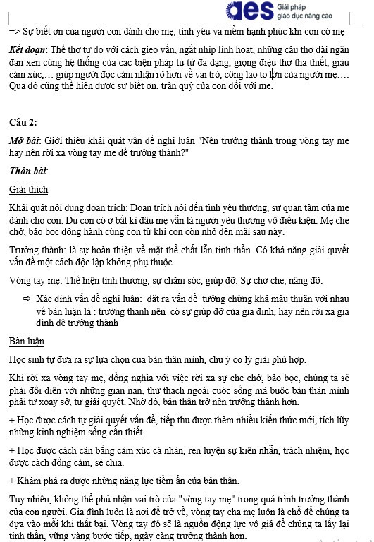 Gợi ý đáp án đề minh họa môn Ngữ văn thi vào lớp 10 Hà Nội theo chương trình mới- Ảnh 6.