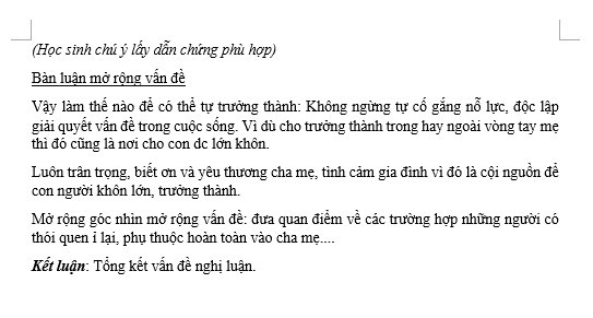 Gợi ý đáp án đề minh họa môn Ngữ văn thi vào lớp 10 Hà Nội theo chương trình mới- Ảnh 7.