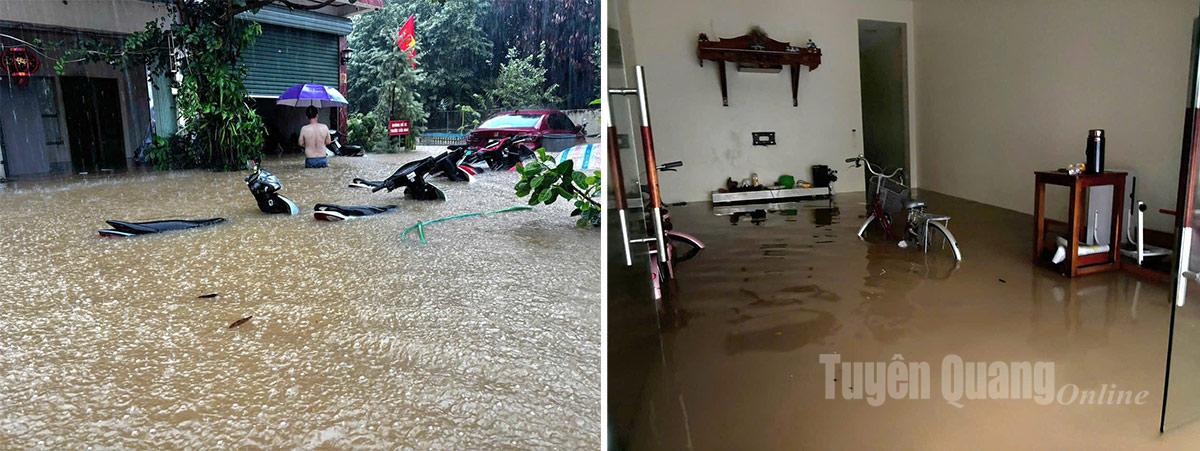 Tuyên Quang: 41 xã đang bị ngập sâu, có nơi trên 4m; 1350 nhà phải di dời khẩn cấp- Ảnh 40.