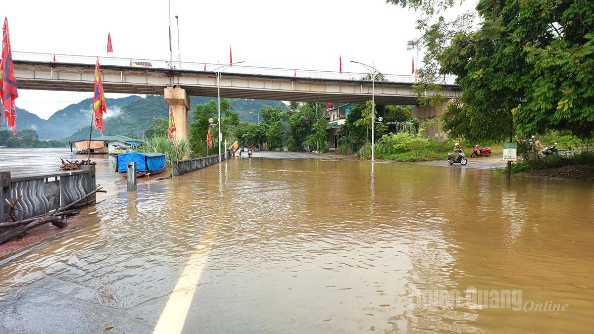Tuyên Quang: 41 xã đang bị ngập sâu, có nơi trên 4m; 1350 nhà phải di dời khẩn cấp- Ảnh 31.