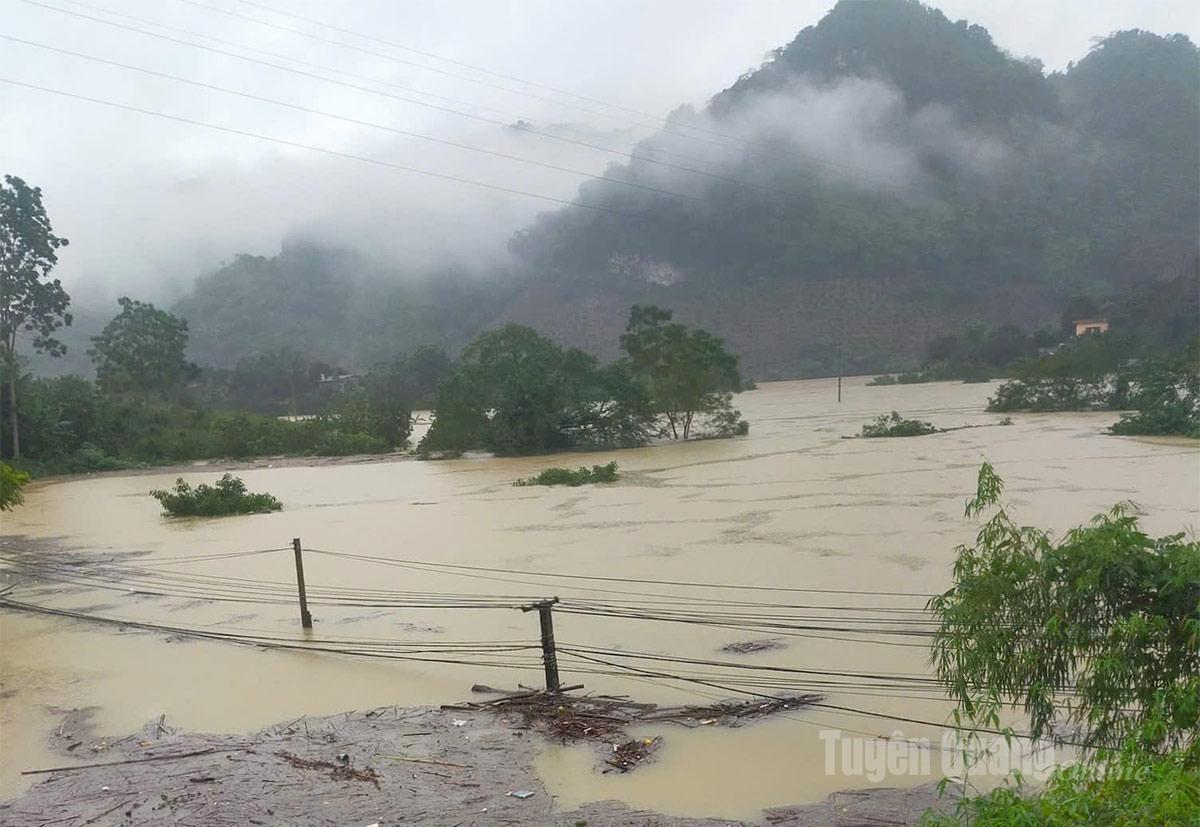 Tuyên Quang: 41 xã đang bị ngập sâu, có nơi trên 4m; 1350 nhà phải di dời khẩn cấp- Ảnh 43.