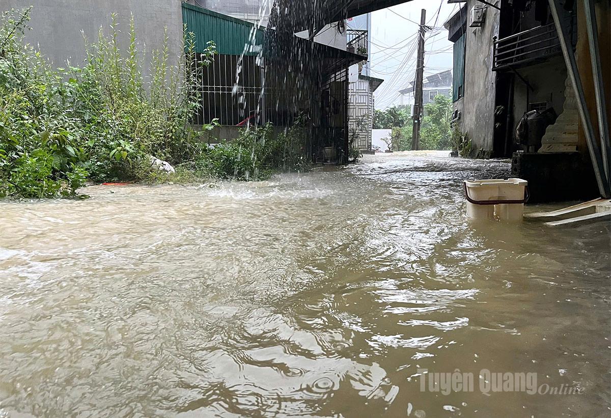 Tuyên Quang: 41 xã đang bị ngập sâu, có nơi trên 4m; 1350 nhà phải di dời khẩn cấp- Ảnh 41.