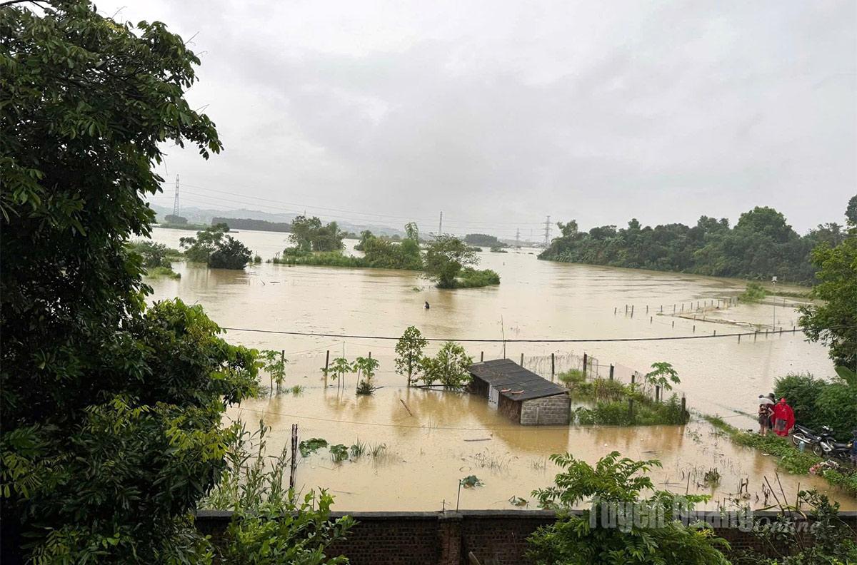 Tuyên Quang: 41 xã đang bị ngập sâu, có nơi trên 4m; 1350 nhà phải di dời khẩn cấp- Ảnh 47.