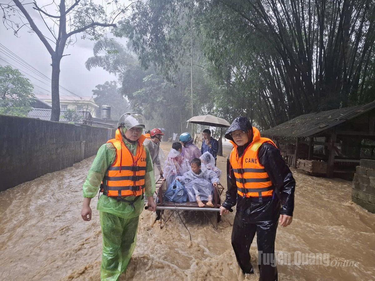 Tuyên Quang: 41 xã đang bị ngập sâu, có nơi trên 4m; 1350 nhà phải di dời khẩn cấp- Ảnh 25.