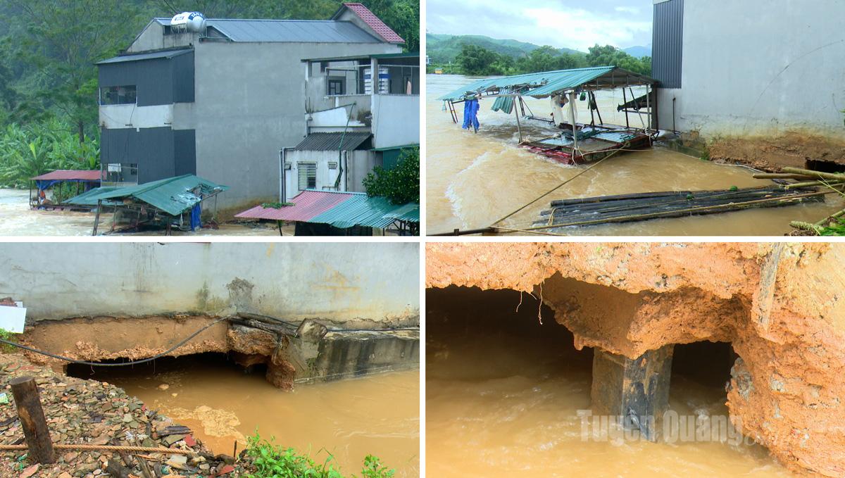 Tuyên Quang: 41 xã đang bị ngập sâu, có nơi trên 4m; 1350 nhà phải di dời khẩn cấp- Ảnh 21.