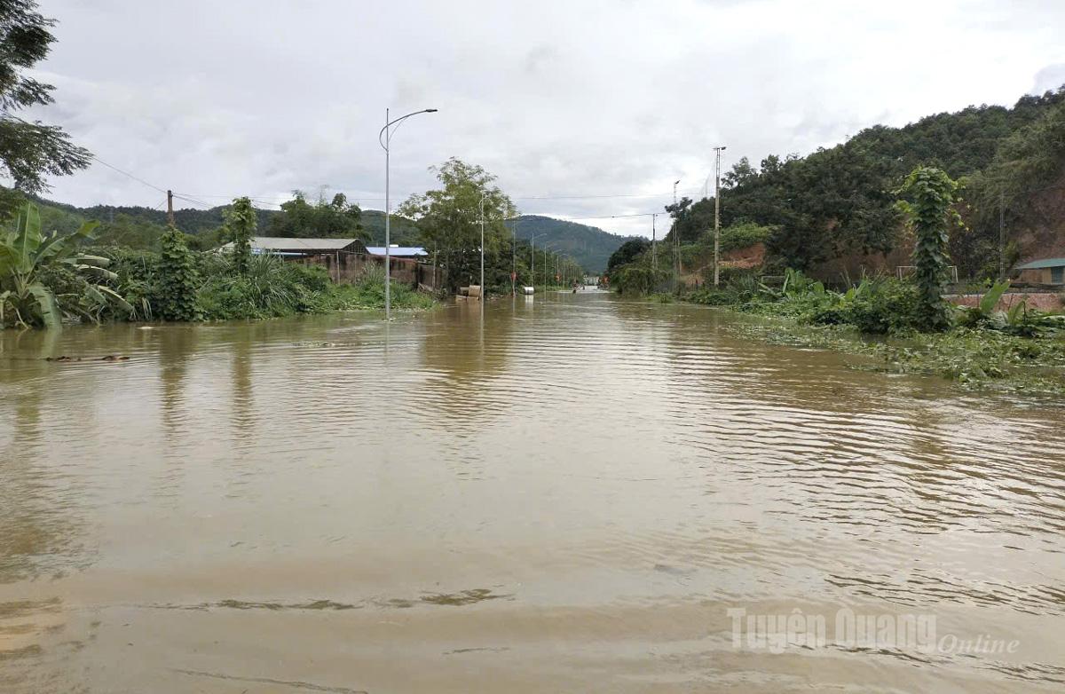 Tuyên Quang: 41 xã đang bị ngập sâu, có nơi trên 4m; 1350 nhà phải di dời khẩn cấp- Ảnh 20.