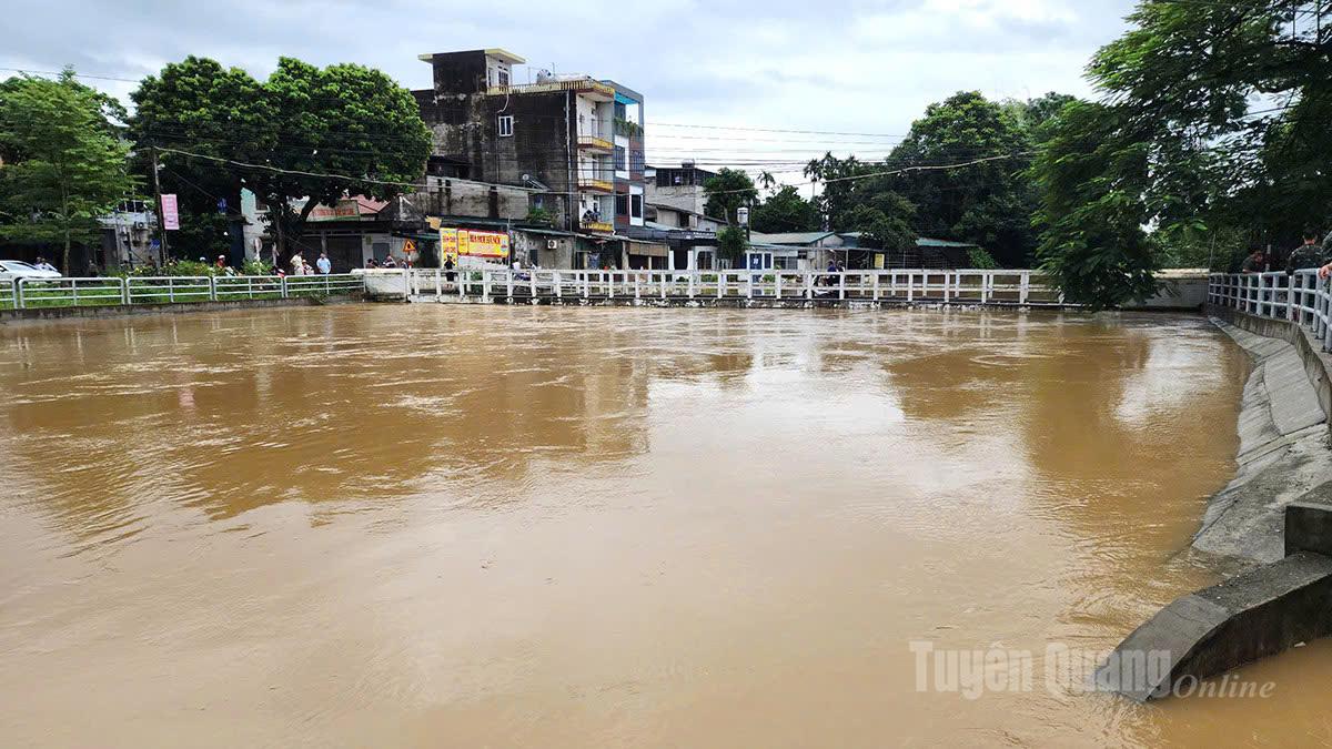Tuyên Quang: 41 xã đang bị ngập sâu, có nơi trên 4m; 1350 nhà phải di dời khẩn cấp- Ảnh 14.