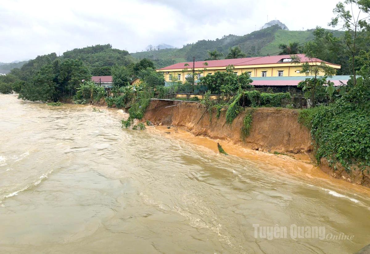 Tuyên Quang: 41 xã đang bị ngập sâu, có nơi trên 4m; 1350 nhà phải di dời khẩn cấp- Ảnh 1.
