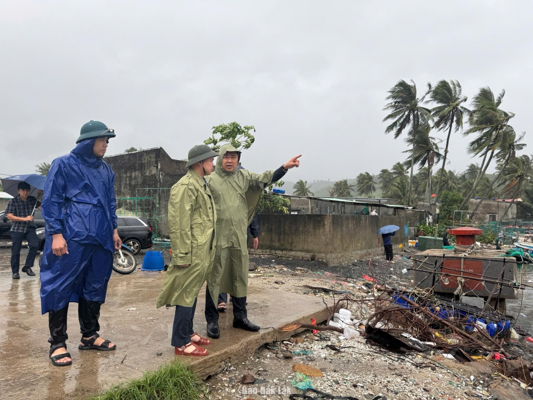 BÃO SỐ 13 (Bão KALMAEGI) giật cấp 15 đổ bộ vào các tỉnh Đắk Lắk - Gia Lai- Ảnh 15.