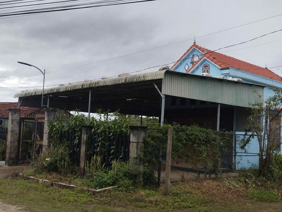 BÃO SỐ 13 (Bão KALMAEGI) giật cấp 15 đổ bộ vào các tỉnh Đắk Lắk - Gia Lai- Ảnh 8.