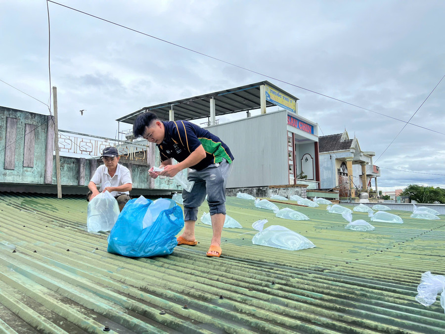 BÃO SỐ 13 (Bão KALMAEGI) giật cấp 15 đổ bộ vào các tỉnh Đắk Lắk - Gia Lai- Ảnh 9.