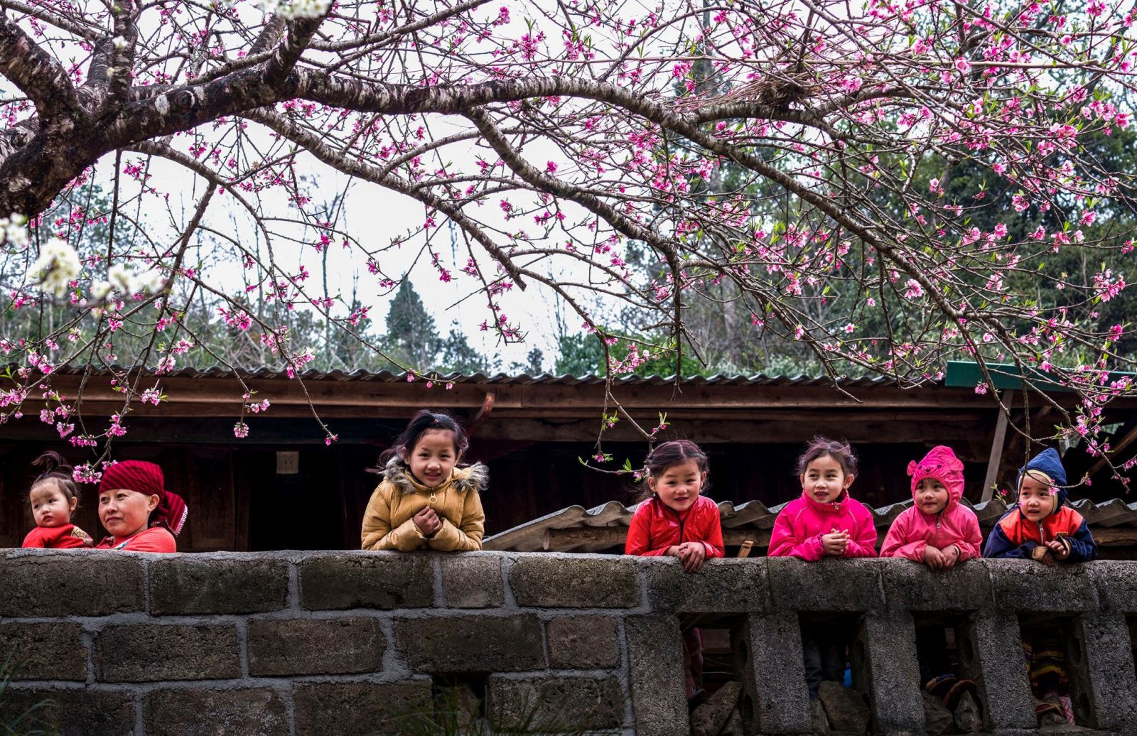 Chỉ thị số 55-CT/TW của Ban Bí thư về việc tổ chức Tết Bính Ngọ năm 2026- Ảnh 1. Chỉ thị số 55-CT/TW của Ban Bí thư về việc tổ chức Tết Bính Ngọ năm 2026- Ảnh 1.