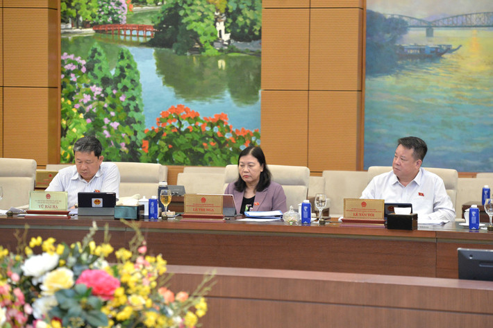 Sửa Luật Ban hành văn bản quy phạm pháp luật: Chỉ sửa đổi những quy định phục vụ sắp xếp tổ chức bộ máy- Ảnh 4. Sửa Luật Ban hành văn bản quy phạm pháp luật: Chỉ sửa đổi những quy định phục vụ sắp xếp tổ chức bộ máy- Ảnh 4.