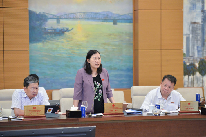 Sửa Luật Ban hành văn bản quy phạm pháp luật: Chỉ sửa đổi những quy định phục vụ sắp xếp tổ chức bộ máy- Ảnh 5. Sửa Luật Ban hành văn bản quy phạm pháp luật: Chỉ sửa đổi những quy định phục vụ sắp xếp tổ chức bộ máy- Ảnh 5.