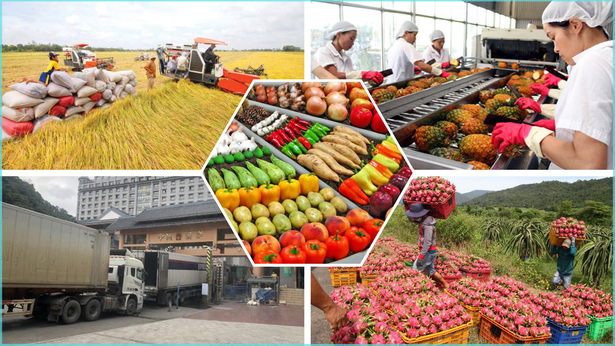 Chủ động ứng phó với các tác động từ bất ổn thương mại, bảo đảm ổn định sản xuất, tiêu thụ nông lâm thủy sản- Ảnh 1. Chủ động ứng phó với các tác động từ bất ổn thương mại, bảo đảm ổn định sản xuất, tiêu thụ nông lâm thủy sản- Ảnh 1.