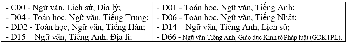TUYỂN SINH 2025: Phương thức, tổ hợp, chỉ tiêu tuyển sinh của Trường Đại học Khoa học xã hội và nhân văn (ĐHQGHN)- Ảnh 2. TUYỂN SINH 2025: Phương thức, tổ hợp, chỉ tiêu tuyển sinh của Trường Đại học Khoa học xã hội và nhân văn (ĐHQGHN)- Ảnh 2.