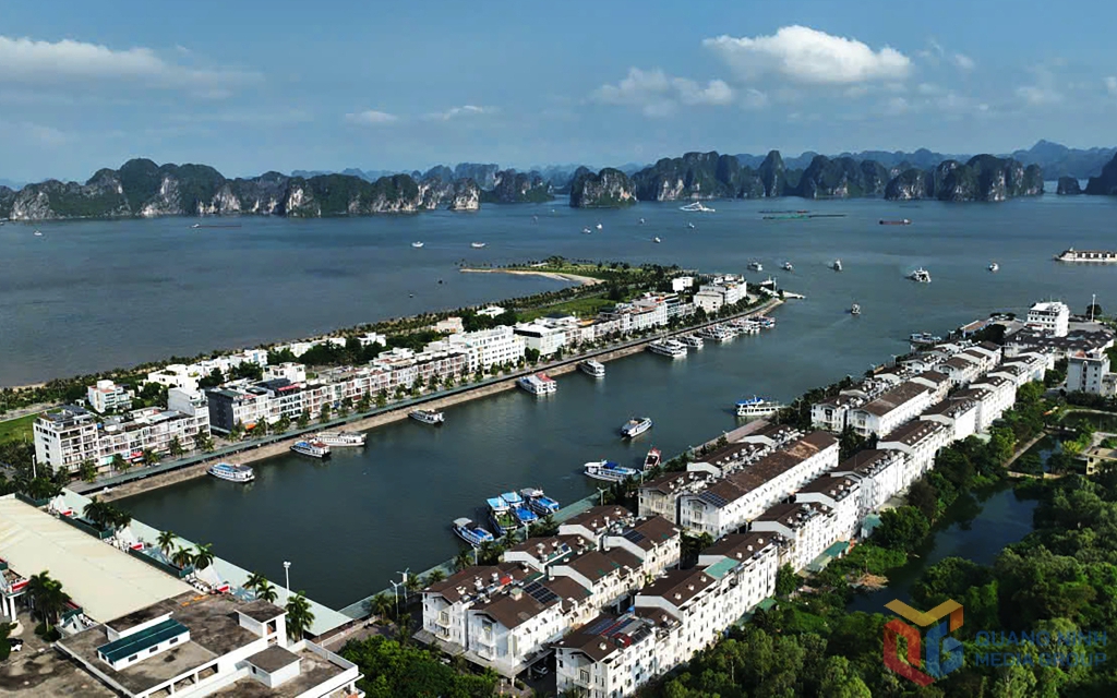 ỨNG PHÓ BÃO SỐ 3 (WIPHA): Quảng Ninh tạm dừng cấp phép rời cảng đối với tàu du lịch, tàu khách