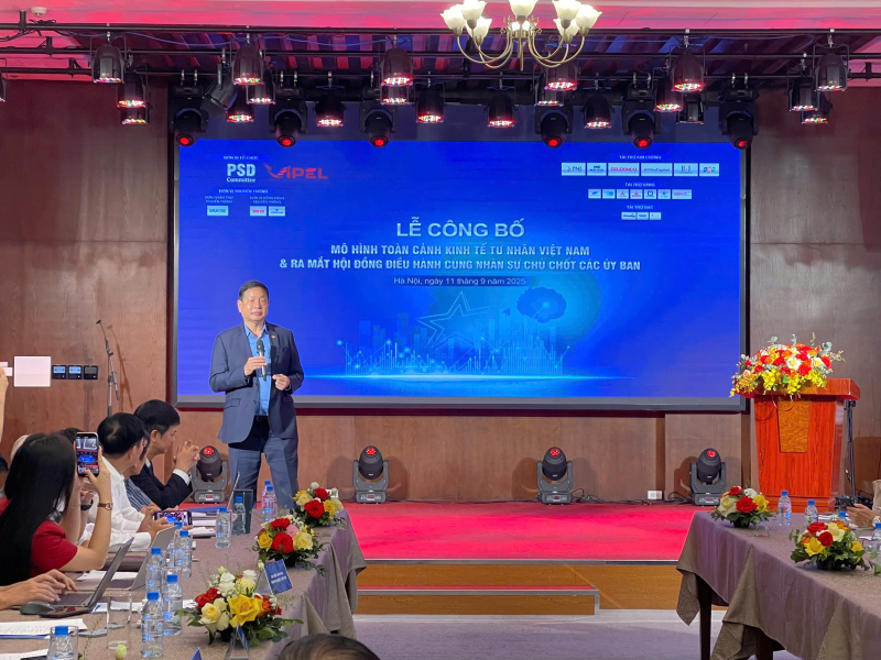 Công bố Mô hình Toàn cảnh Kinh tế tư nhân Việt Nam và ra mắt Hội đồng Điều hành- Ảnh 1.