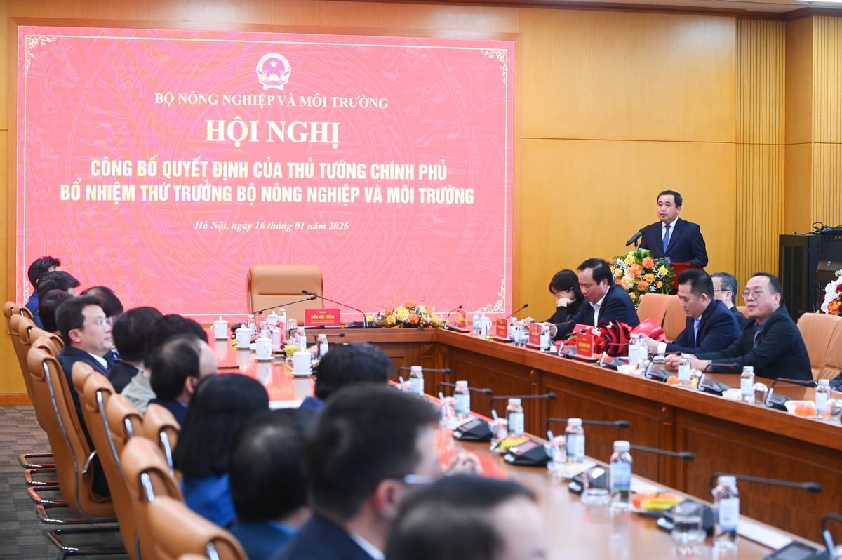 Thủ tướng bổ nhiệm ông Đặng Ngọc Điệp giữ chức Thứ trưởng Bộ Nông nghiệp và Môi trường- Ảnh 2.