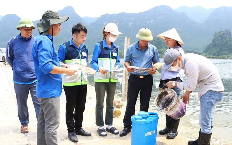 Tổ chức lại Trung tâm khuyến nông