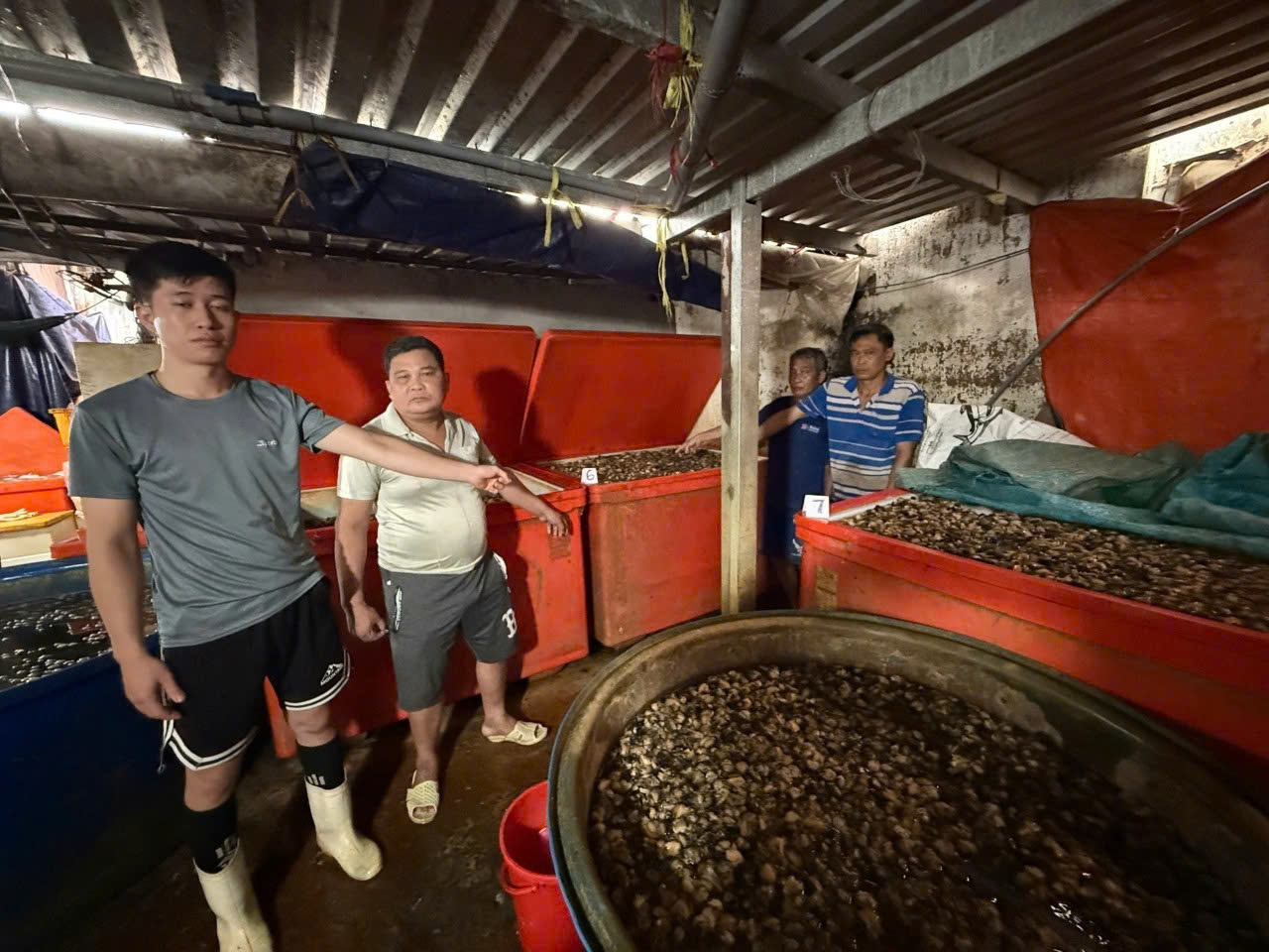 Khởi tố, bắt tạm giam nữ nhân viên ngân hàng; cơ quan Công an cảnh báo người dân, thông báo tìm bị hại- Ảnh 3. Khởi tố, bắt tạm giam nữ nhân viên ngân hàng; cơ quan Công an cảnh báo người dân, thông báo tìm bị hại- Ảnh 3.