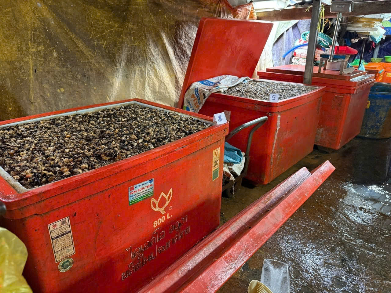 Khởi tố, bắt tạm giam nữ nhân viên ngân hàng; cơ quan Công an cảnh báo người dân, thông báo tìm bị hại- Ảnh 5. Khởi tố, bắt tạm giam nữ nhân viên ngân hàng; cơ quan Công an cảnh báo người dân, thông báo tìm bị hại- Ảnh 5.