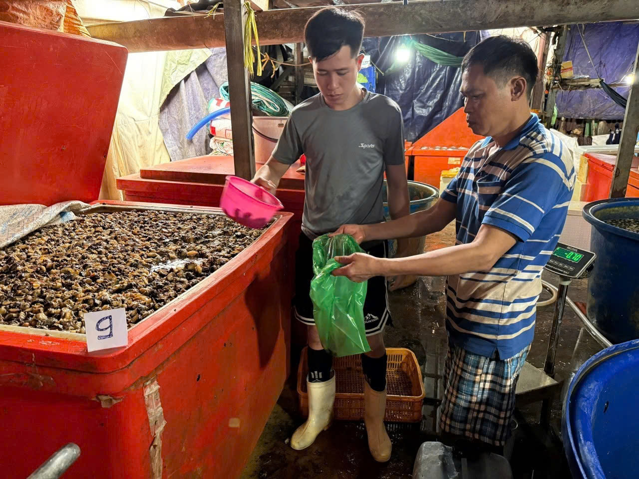 Khởi tố, bắt tạm giam nữ nhân viên ngân hàng; cơ quan Công an cảnh báo người dân, thông báo tìm bị hại- Ảnh 6. Khởi tố, bắt tạm giam nữ nhân viên ngân hàng; cơ quan Công an cảnh báo người dân, thông báo tìm bị hại- Ảnh 6.