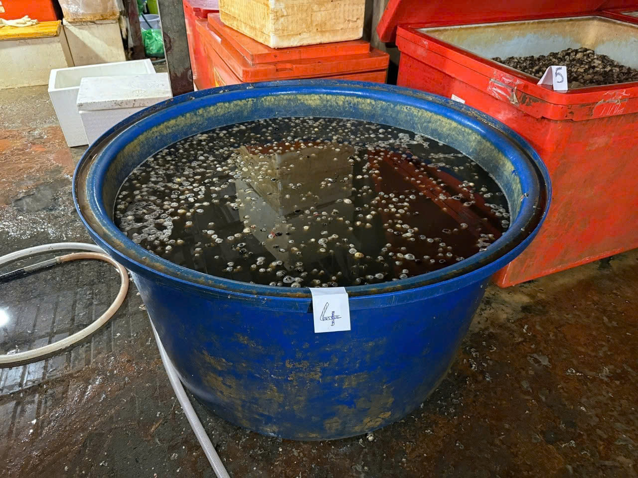 Khởi tố, bắt tạm giam nữ nhân viên ngân hàng; cơ quan Công an cảnh báo người dân, thông báo tìm bị hại- Ảnh 9. Khởi tố, bắt tạm giam nữ nhân viên ngân hàng; cơ quan Công an cảnh báo người dân, thông báo tìm bị hại- Ảnh 9.