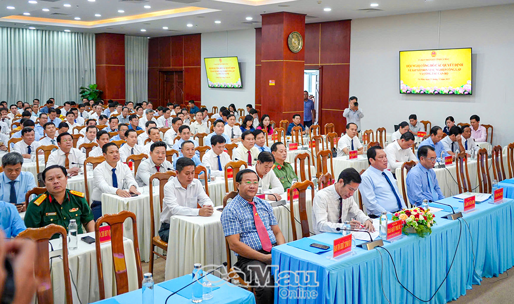 Sắp xếp các cơ sở giáo dục, y tế, Ban quản lý dự án, Trung tâm phát triển quỹ đất- Ảnh 1.