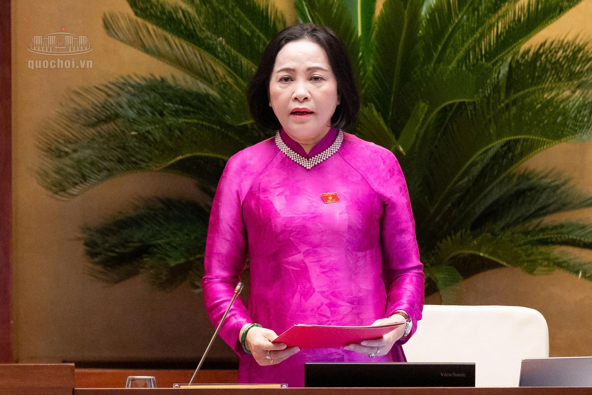 Thẩm tra dự án Luật Thực hiện dân chủ ở cơ sở (sửa đổi)- Ảnh 1.