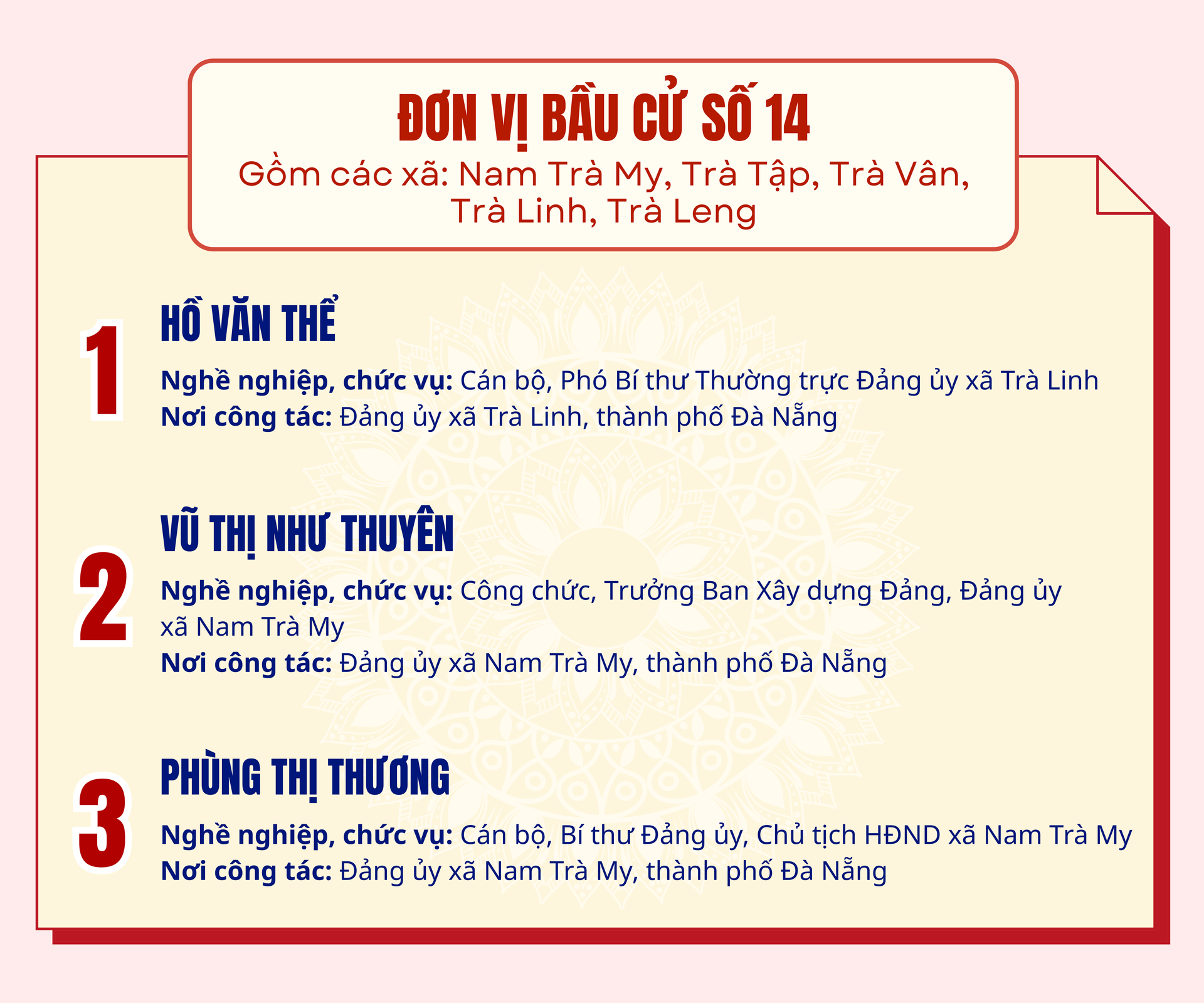 Danh sách những người ứng cử đại biểu HĐND TP Đà Nẵng nhiệm kỳ 2026-2031- Ảnh 14.