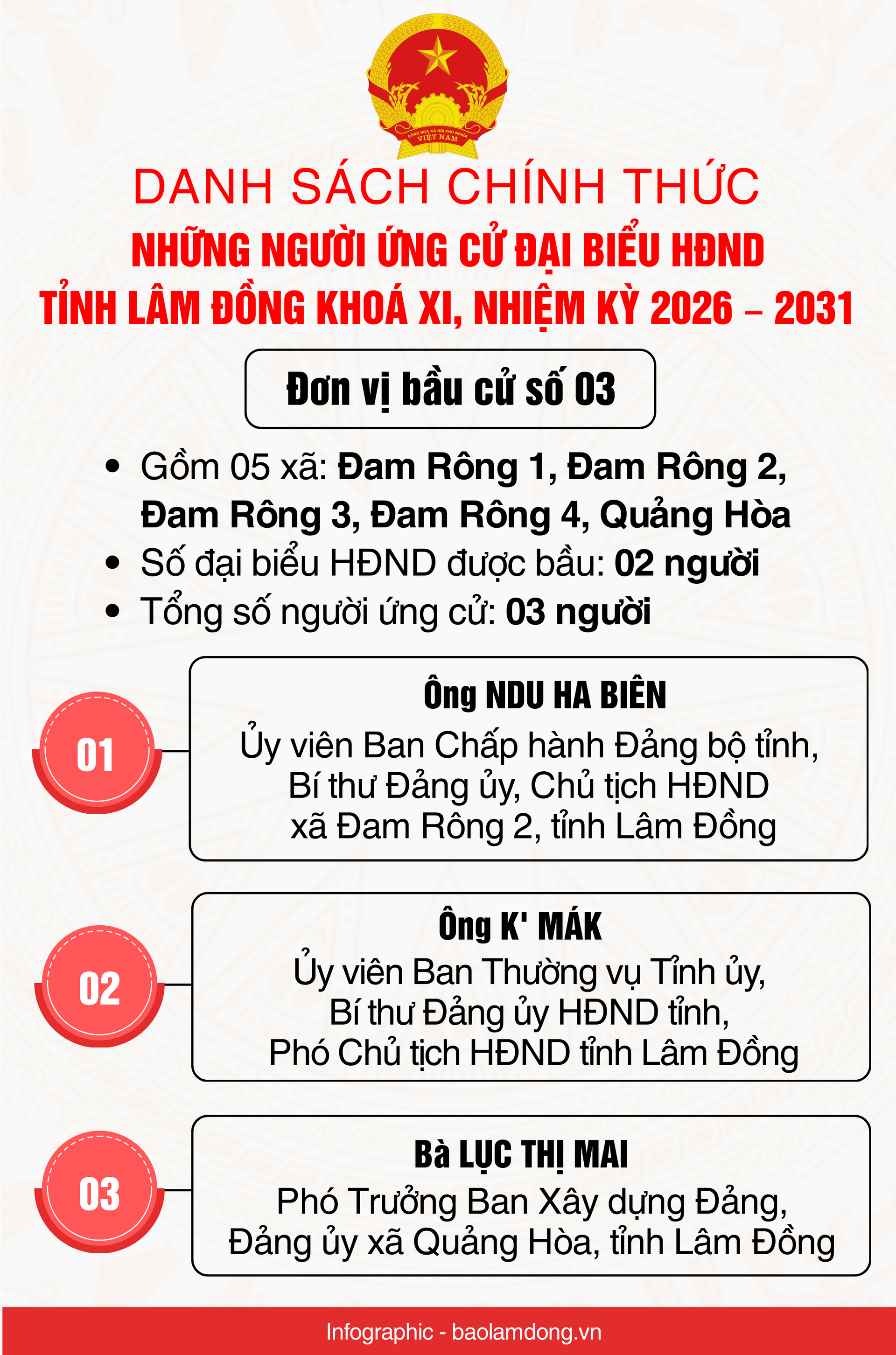 Danh sách những người ứng cử đại biểu HĐND tỉnh Lâm Đồng nhiệm kỳ 2026 - 2031- Ảnh 4.